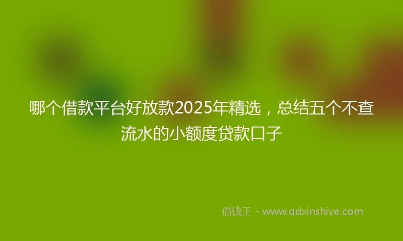 哪个借款平台好放款2025年精选，总结五个不查流水的小额度贷款口子