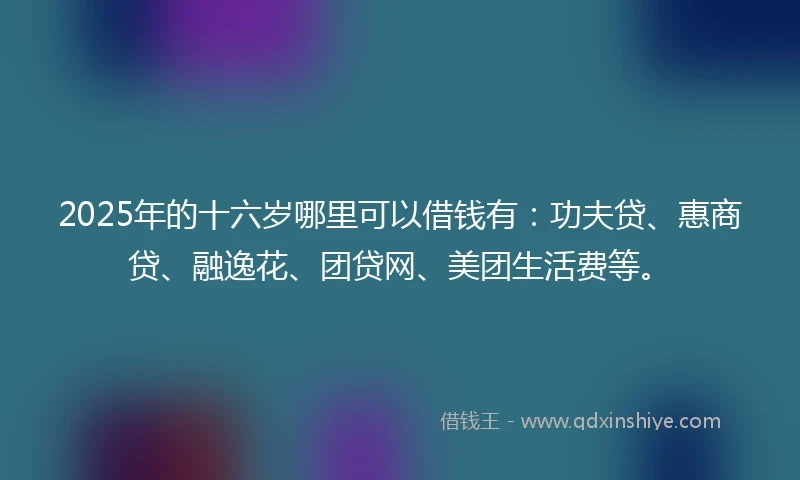 2025年的十六岁哪里可以借钱有：功夫贷、惠商贷、融逸花、团贷网、美团生活费等。