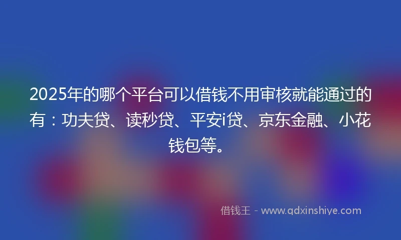 2025年的哪个平台可以借钱不用审核就能通过的有：功夫贷、读秒贷、平安i贷、京东金融、小花钱包等。