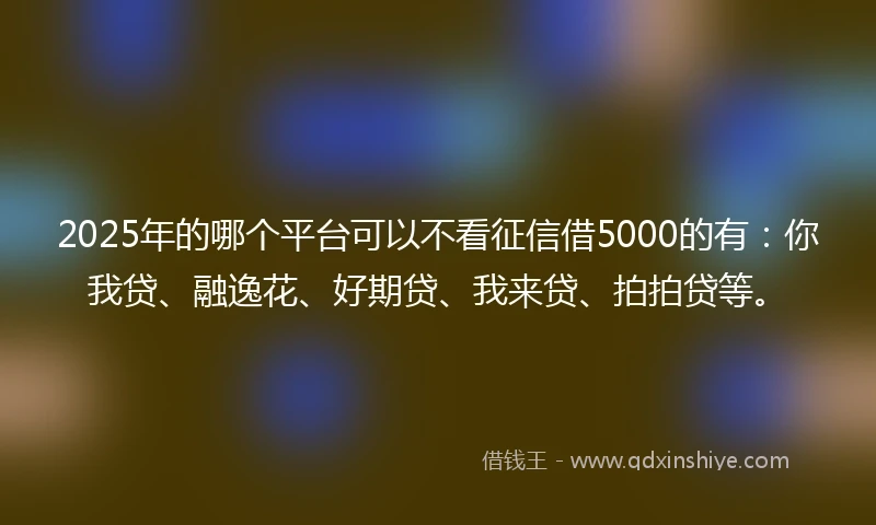 2025年的哪个平台可以不看征信借5000的有：你我贷、融逸花、好期贷、我来贷、拍拍贷等。