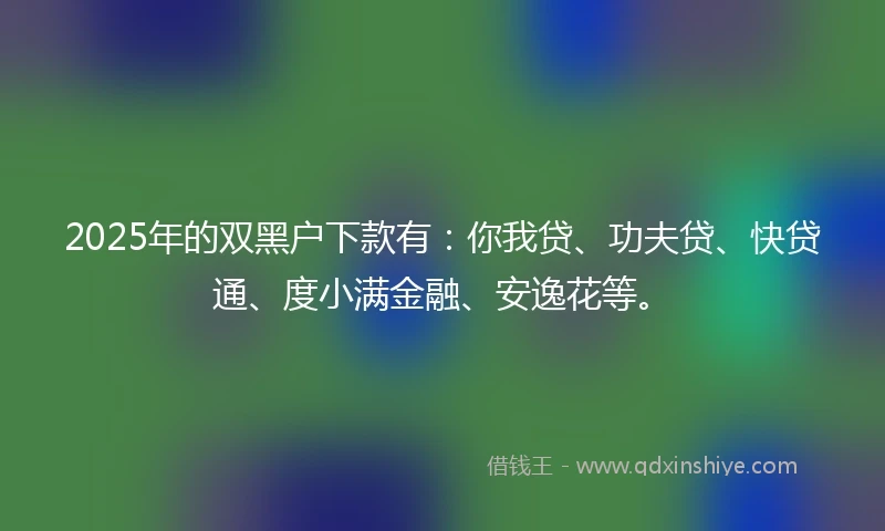 2025年的双黑户下款有：你我贷、功夫贷、快贷通、度小满金融、安逸花等。