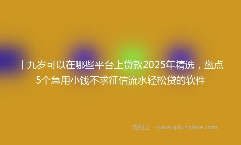十九岁可以在哪些平台上贷款2025年精选，盘点5个急用小钱不求征信流水轻松贷的软件