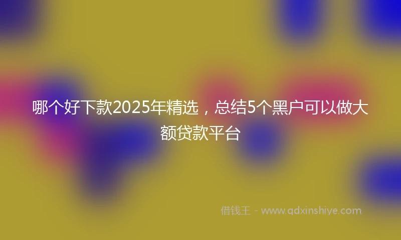 哪个好下款2025年精选，总结5个黑户可以做大额贷款平台