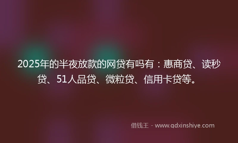 2025年的半夜放款的网贷有吗有：惠商贷、读秒贷、51人品贷、微粒贷、信用卡贷等。