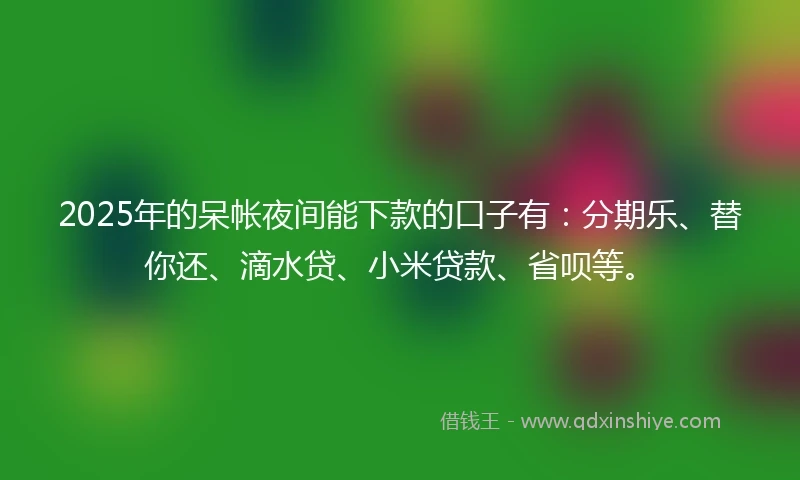 2025年的呆帐夜间能下款的口子有：分期乐、替你还、滴水贷、小米贷款、省呗等。