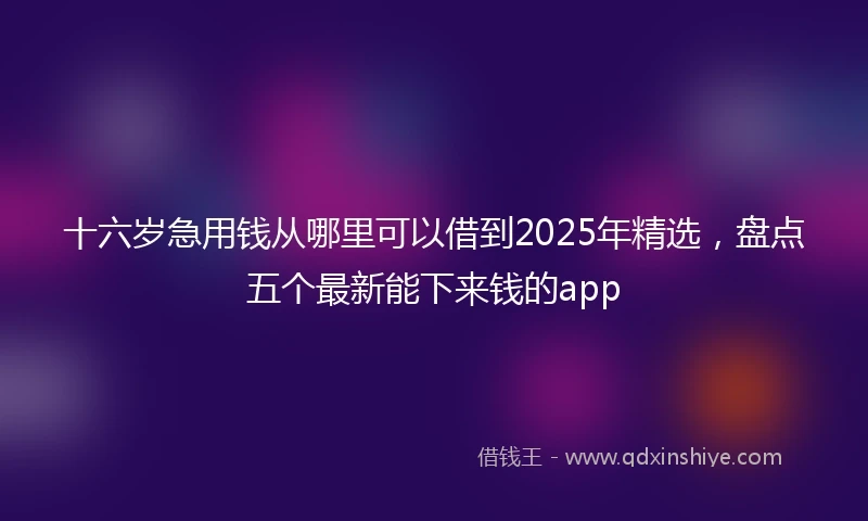 十六岁急用钱从哪里可以借到2025年精选，盘点五个最新能下来钱的app