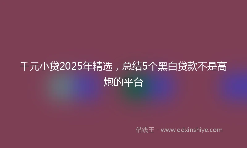 千元小贷2025年精选，总结5个黑白贷款不是高炮的平台