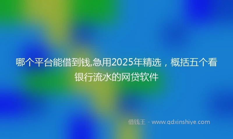 哪个平台能借到钱,急用2025年精选，概括五个看银行流水的网贷软件
