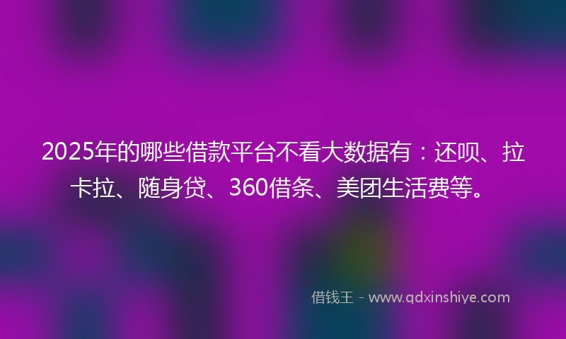 2025年的哪些借款平台不看大数据有：还呗、拉卡拉、随身贷、360借条、美团生活费等。