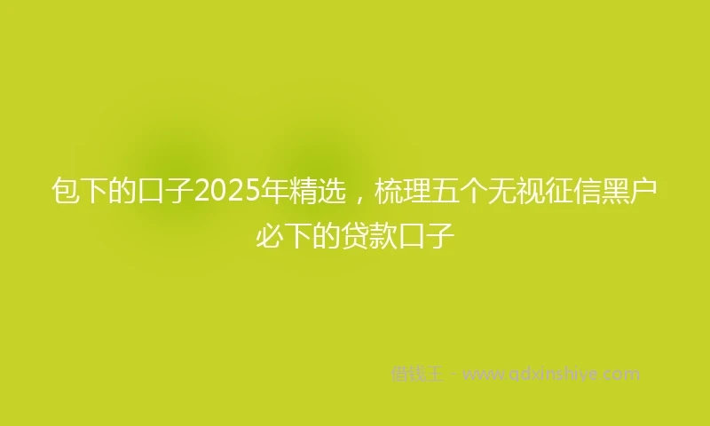 包下的口子2025年精选,梳理五个无视征信黑户必下的贷款口子