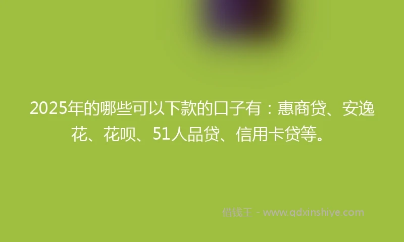 2025年的哪些可以下款的口子有:惠商贷、安逸花、花呗、51人品贷、信用卡贷等。