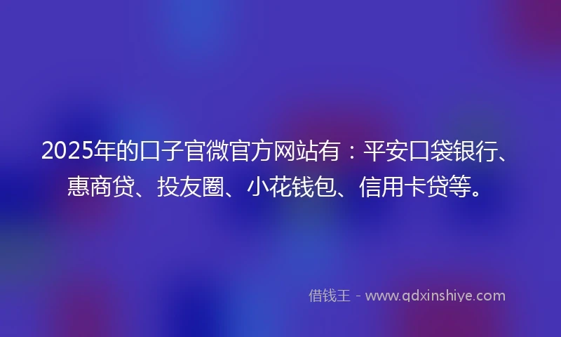 2025年的口子官微官方网站有：平安口袋银行、惠商贷、投友圈、小花钱包、信用卡贷等。