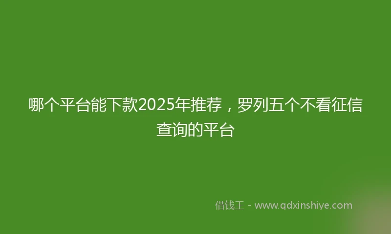 哪个平台能下款2025年推荐，罗列五个不看征信查询的平台