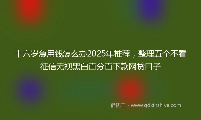 十六岁急用钱怎么办2025年推荐，整理五个不看征信无视黑白百分百下款网贷口子