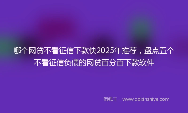 哪个网贷不看征信下款快2025年推荐，盘点五个不看征信负债的网贷百分百下款软件