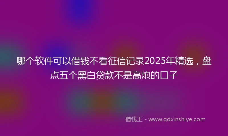哪个软件可以借钱不看征信记录2025年精选，盘点五个黑白贷款不是高炮的口子