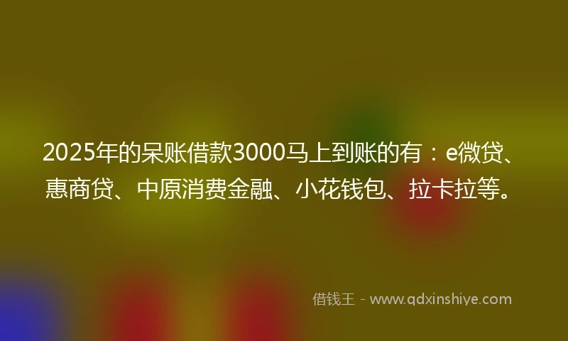 2025年的呆账借款3000马上到账的有：e微贷、惠商贷、中原消费金融、小花钱包、拉卡拉等。