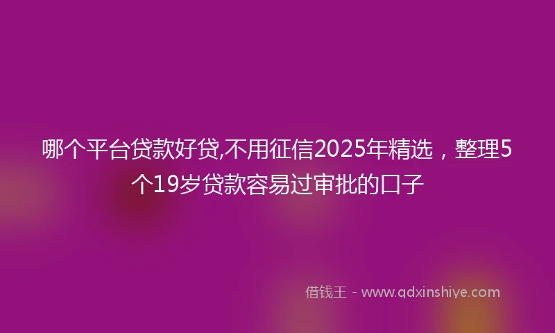 哪个平台贷款好贷,不用征信2025年精选，整理5个19岁贷款容易过审批的口子