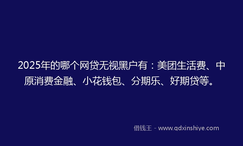 2025年的哪个网贷无视黑户有：美团生活费、中原消费金融、小花钱包、分期乐、好期贷等。