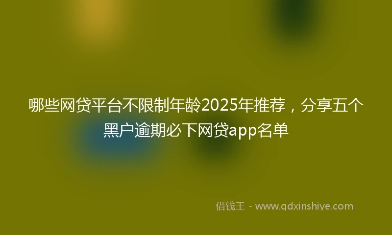 哪些网贷平台不限制年龄2025年推荐，分享五个黑户逾期必下网贷app名单