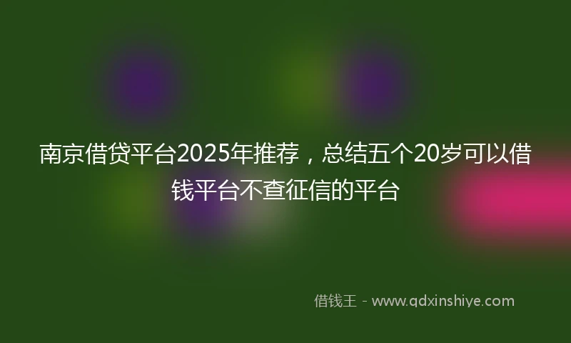 南京借贷平台2025年推荐，总结五个20岁可以借钱平台不查征信的平台