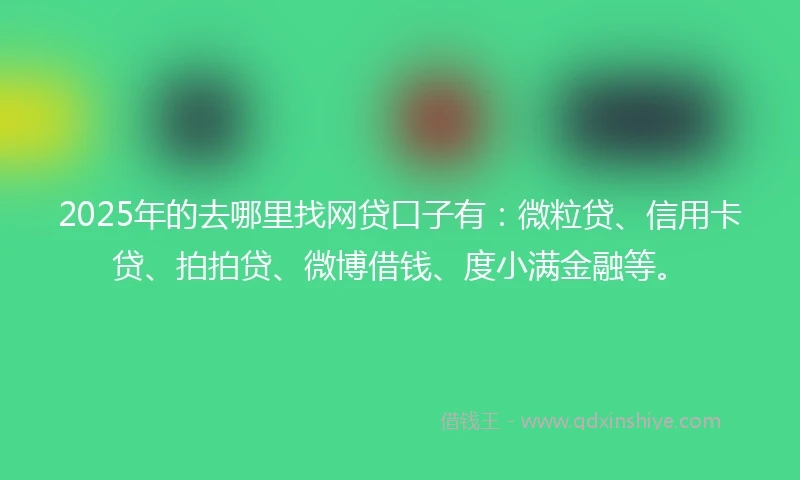 2025年的去哪里找网贷口子有:微粒贷、信用卡贷、拍拍贷、微博借钱、度小满金融等。