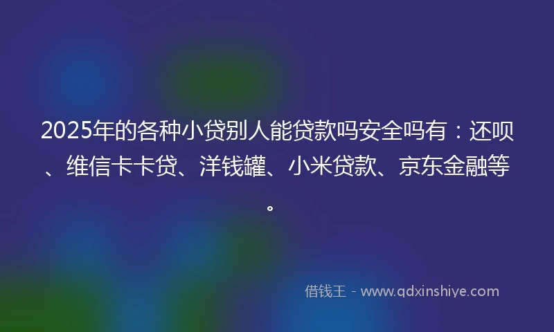 2025年的各种小贷别人能贷款吗安全吗有:还呗、维信卡卡贷、洋钱罐、小米贷款、京东金融等。