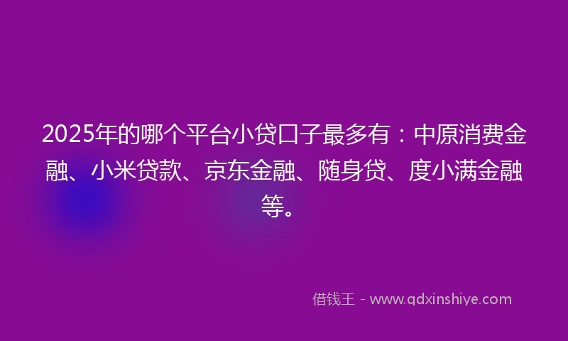 2025年的哪个平台小贷口子最多有:中原消费金融、小米贷款、京东金融、随身贷、度小满金融等。