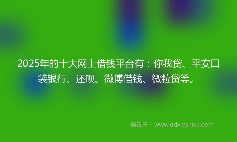 2025年的十大网上借钱平台有：你我贷、平安口袋银行、还呗、微博借钱、微粒贷等。