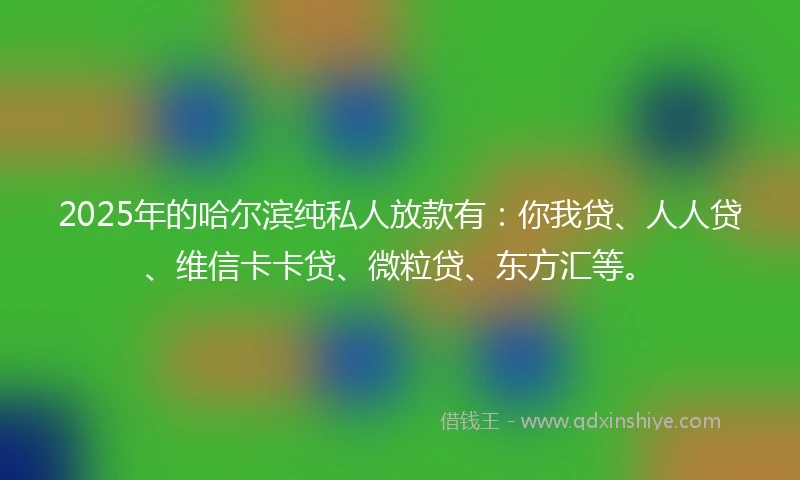 2025年的哈尔滨纯私人放款有：你我贷、人人贷、维信卡卡贷、微粒贷、东方汇等。