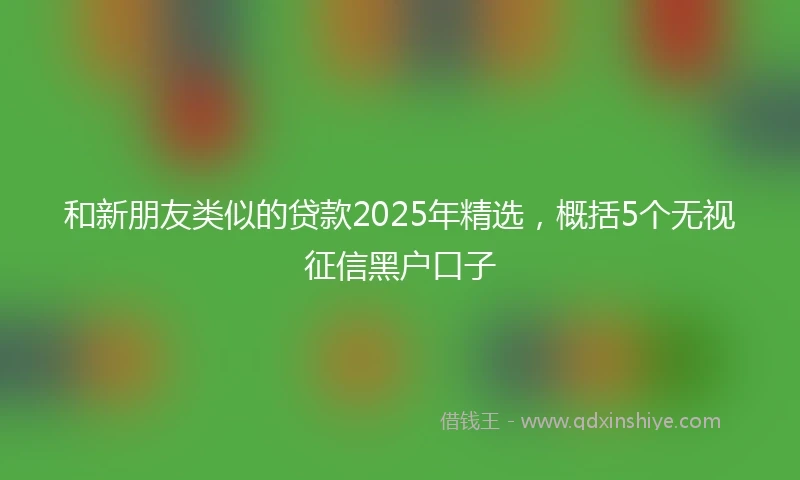 和新朋友类似的贷款2025年精选，概括5个无视征信黑户口子
