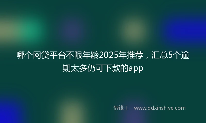 哪个网贷平台不限年龄2025年推荐，汇总5个逾期太多仍可下款的app