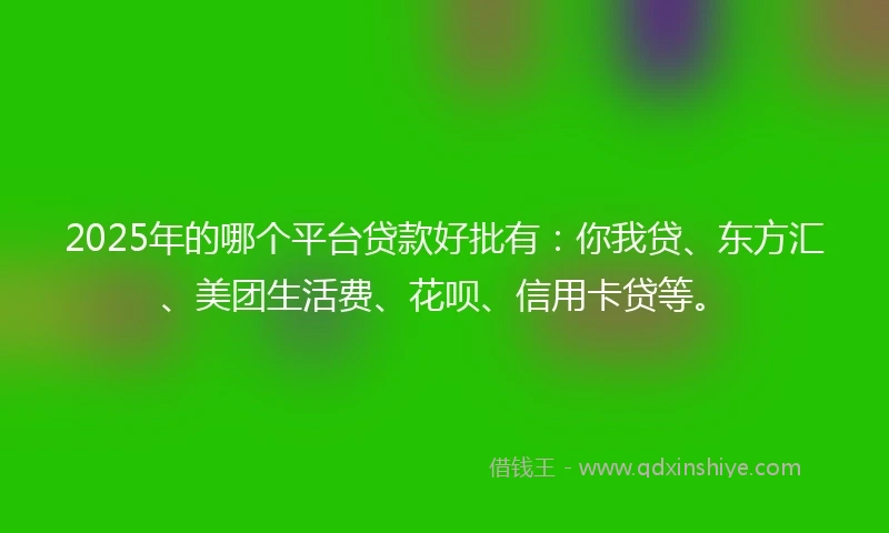 2025年的哪个平台贷款好批有：你我贷、东方汇、美团生活费、花呗、信用卡贷等。