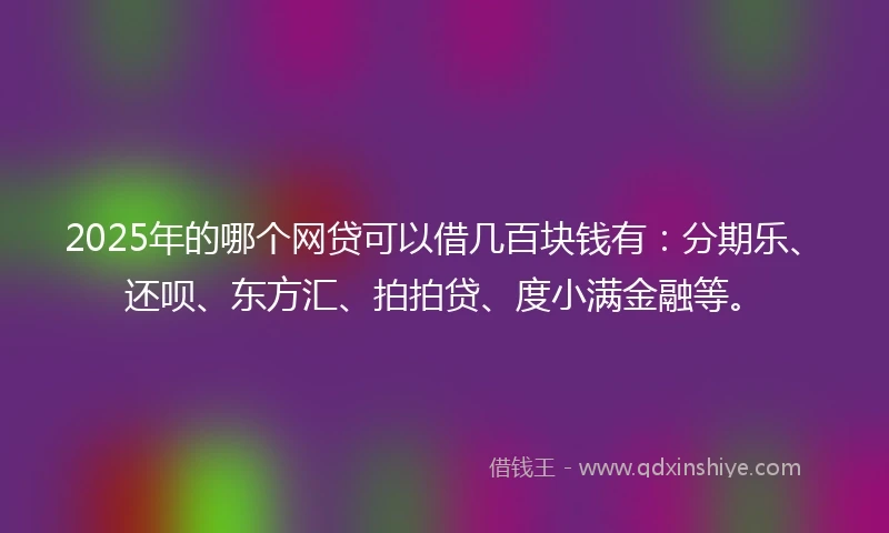 2025年的哪个网贷可以借几百块钱有：分期乐、还呗、东方汇、拍拍贷、度小满金融等。
