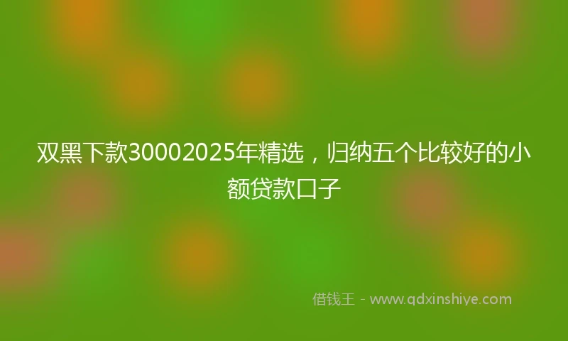 双黑下款30002025年精选，归纳五个比较好的小额贷款口子