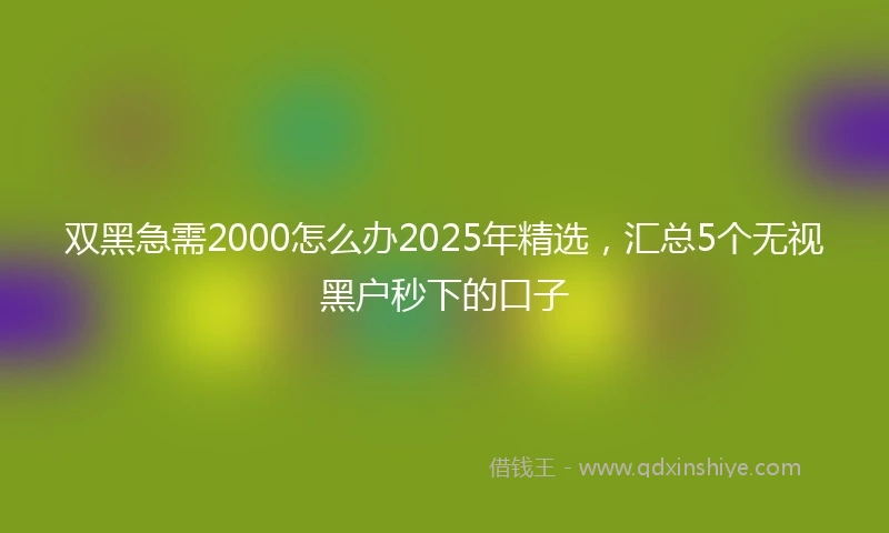 双黑急需2000怎么办2025年精选，汇总5个无视黑户秒下的口子
