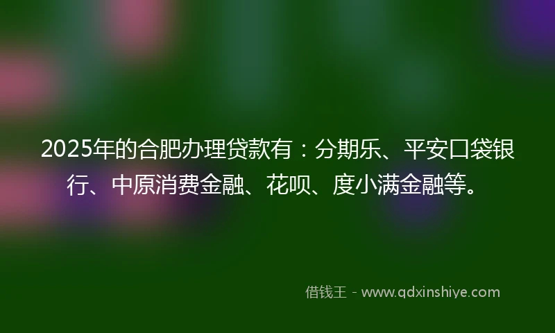 2025年的合肥办理贷款有：分期乐、平安口袋银行、中原消费金融、花呗、度小满金融等。