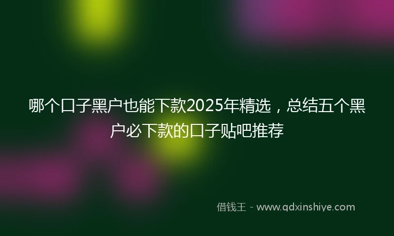 哪个口子黑户也能下款2025年精选，总结五个黑户必下款的口子贴吧推荐