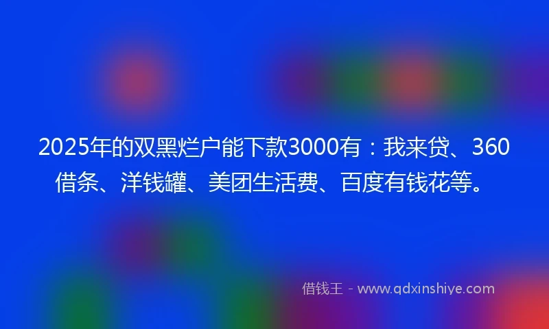 2025年的双黑烂户能下款3000有：我来贷、360借条、洋钱罐、美团生活费、百度有钱花等。