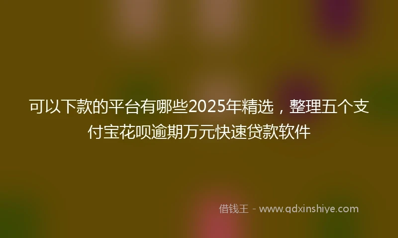 可以下款的平台有哪些2025年精选，整理五个支付宝花呗逾期万元快速贷款软件