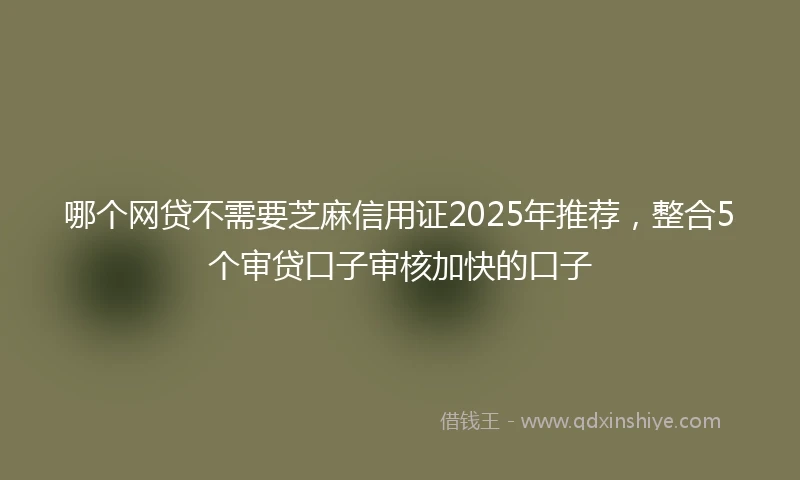 哪个网贷不需要芝麻信用证2025年推荐，整合5个审贷口子审核加快的口子