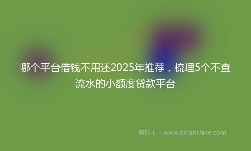 哪个平台借钱不用还2025年推荐，梳理5个不查流水的小额度贷款平台