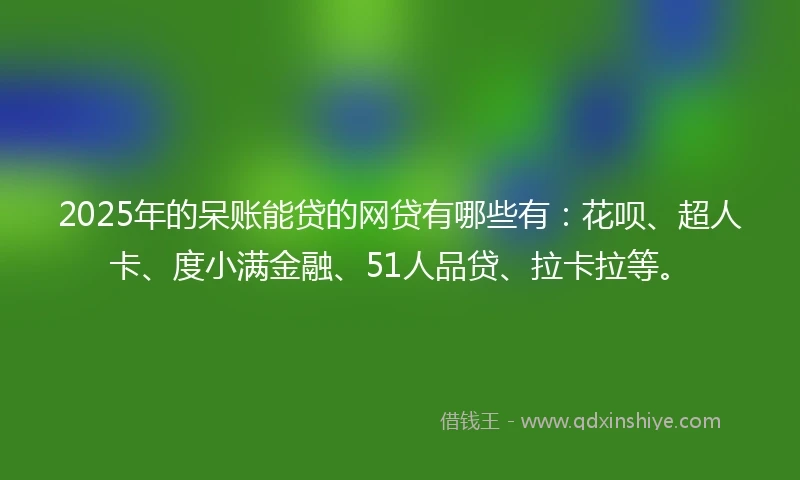 2025年的呆账能贷的网贷有哪些有：花呗、超人卡、度小满金融、51人品贷、拉卡拉等。