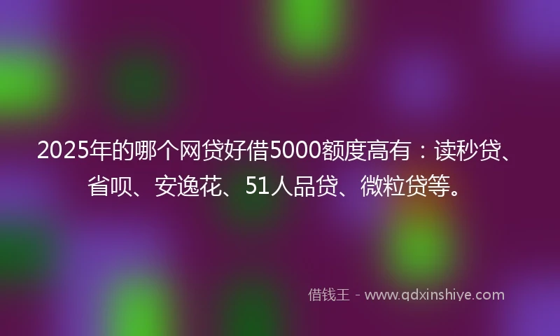 2025年的哪个网贷好借5000额度高有：读秒贷、省呗、安逸花、51人品贷、微粒贷等。