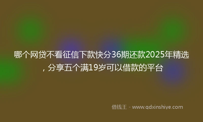 哪个网贷不看征信下款快分36期还款2025年精选，分享五个满19岁可以借款的平台