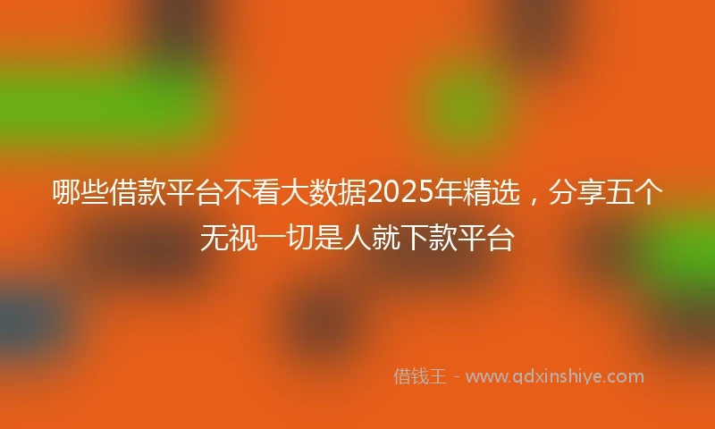 哪些借款平台不看大数据2025年精选，分享五个无视一切是人就下款平台