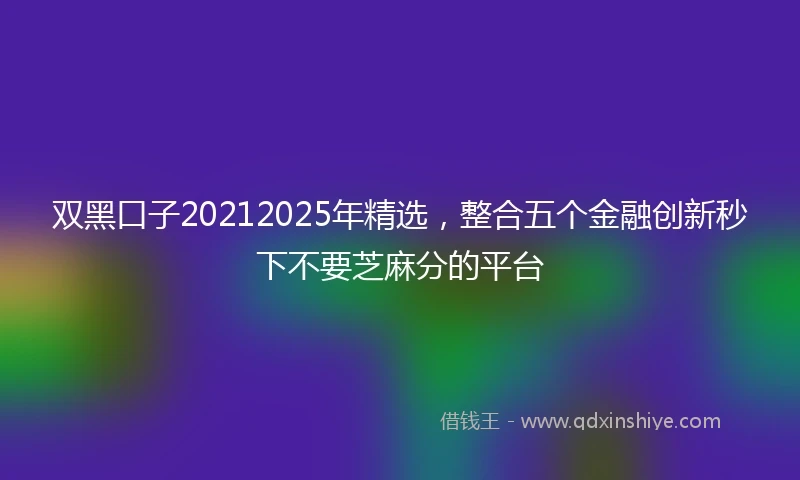 双黑口子20212025年精选，整合五个金融创新秒下不要芝麻分的平台