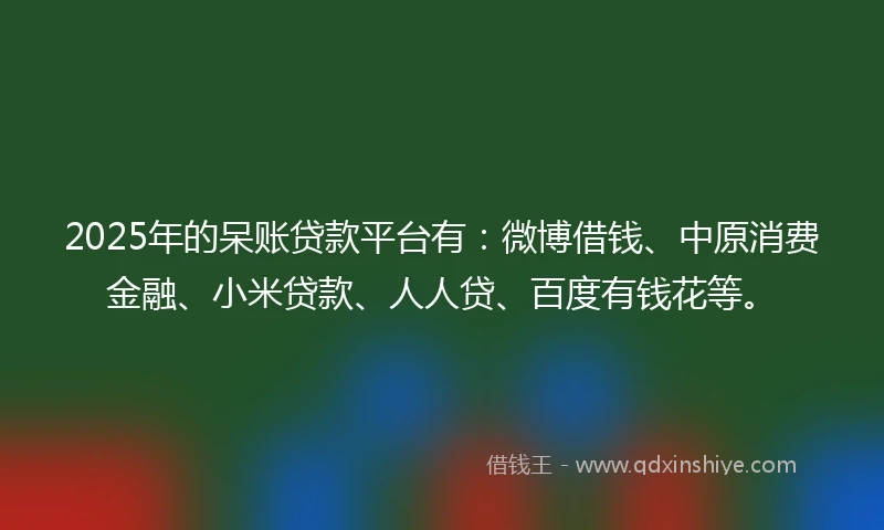 2025年的呆账贷款平台有：微博借钱、中原消费金融、小米贷款、人人贷、百度有钱花等。