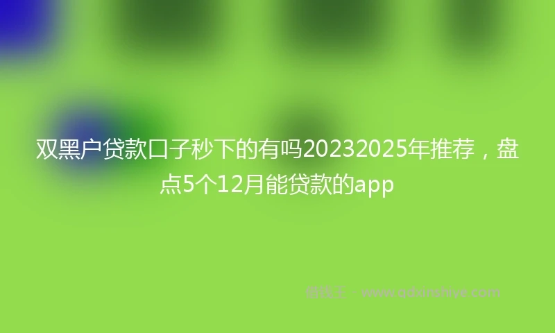 双黑户贷款口子秒下的有吗20232025年推荐，盘点5个12月能贷款的app