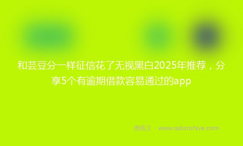 和芸豆分一样征信花了无视黑白2025年推荐，分享5个有逾期借款容易通过的app